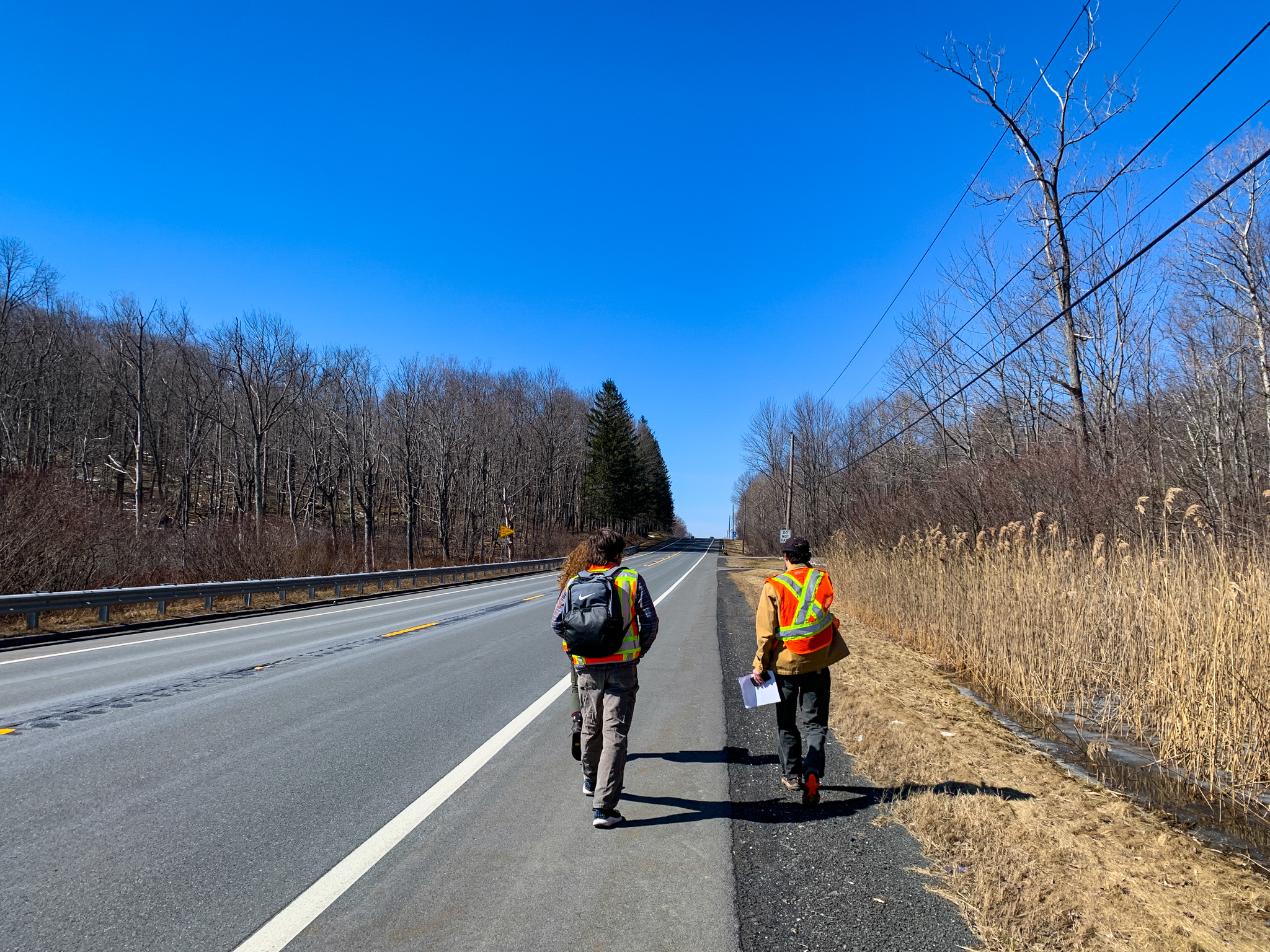 A group of volunteers visit a road in Pittsfield, Massachusetts, to complete an assessment.