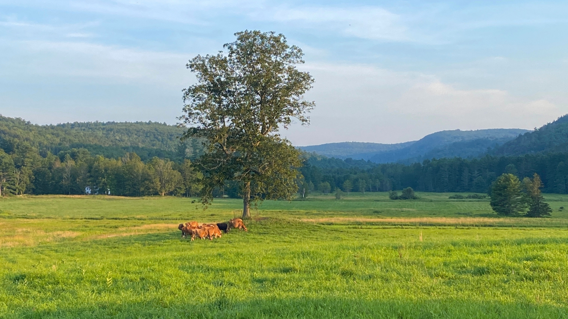 View in Cornwall, CT, of forested lands above the scenic Coltsfoot Valley protected by the federal Highlands Act.